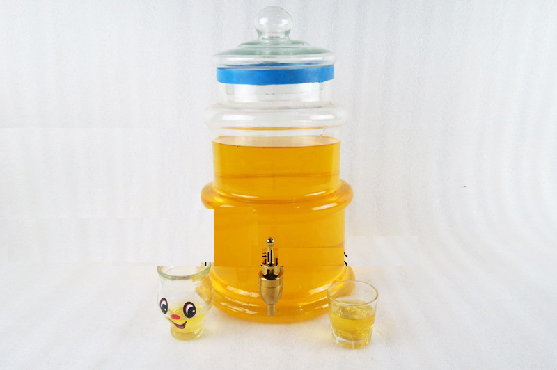 Large capacity wine jar, Yangmei, Qingmei wine bottle, soaking wine glass bottle